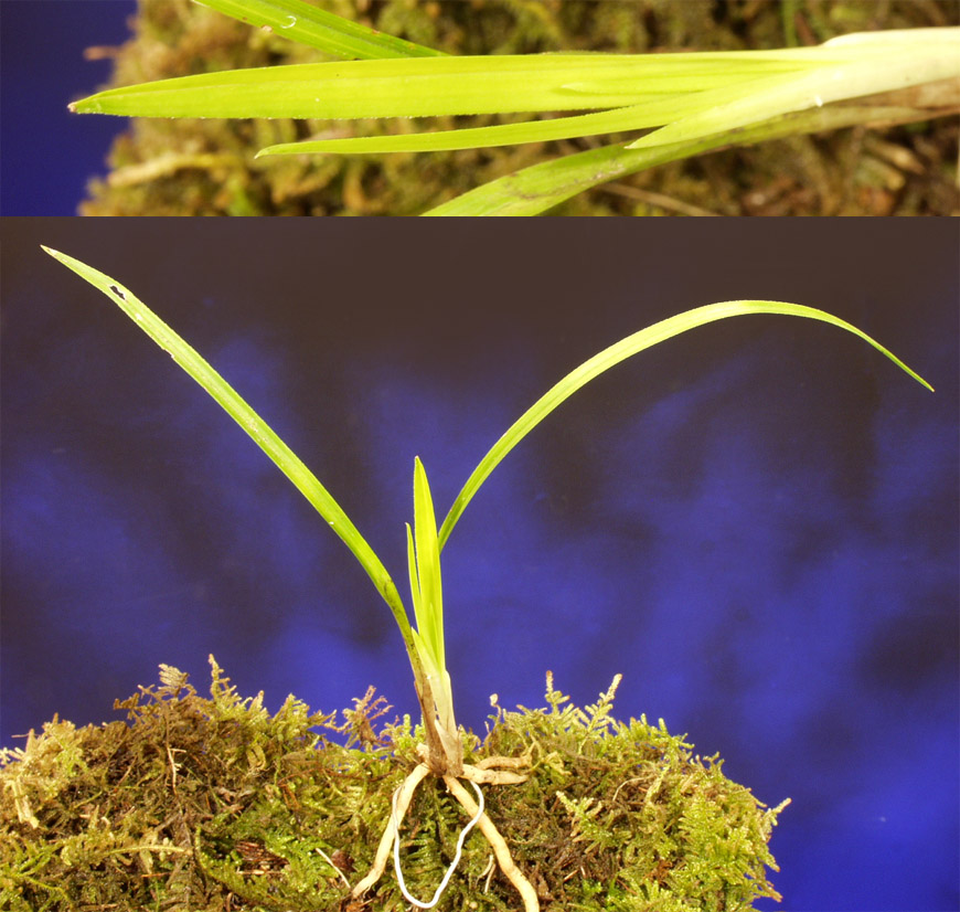 ������ ū������ �� �� �ֽ��ϴ�.