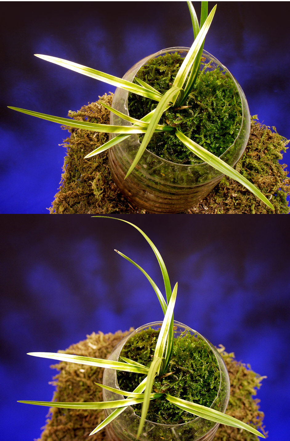 ������ ū������ �� �� �ֽ��ϴ�.