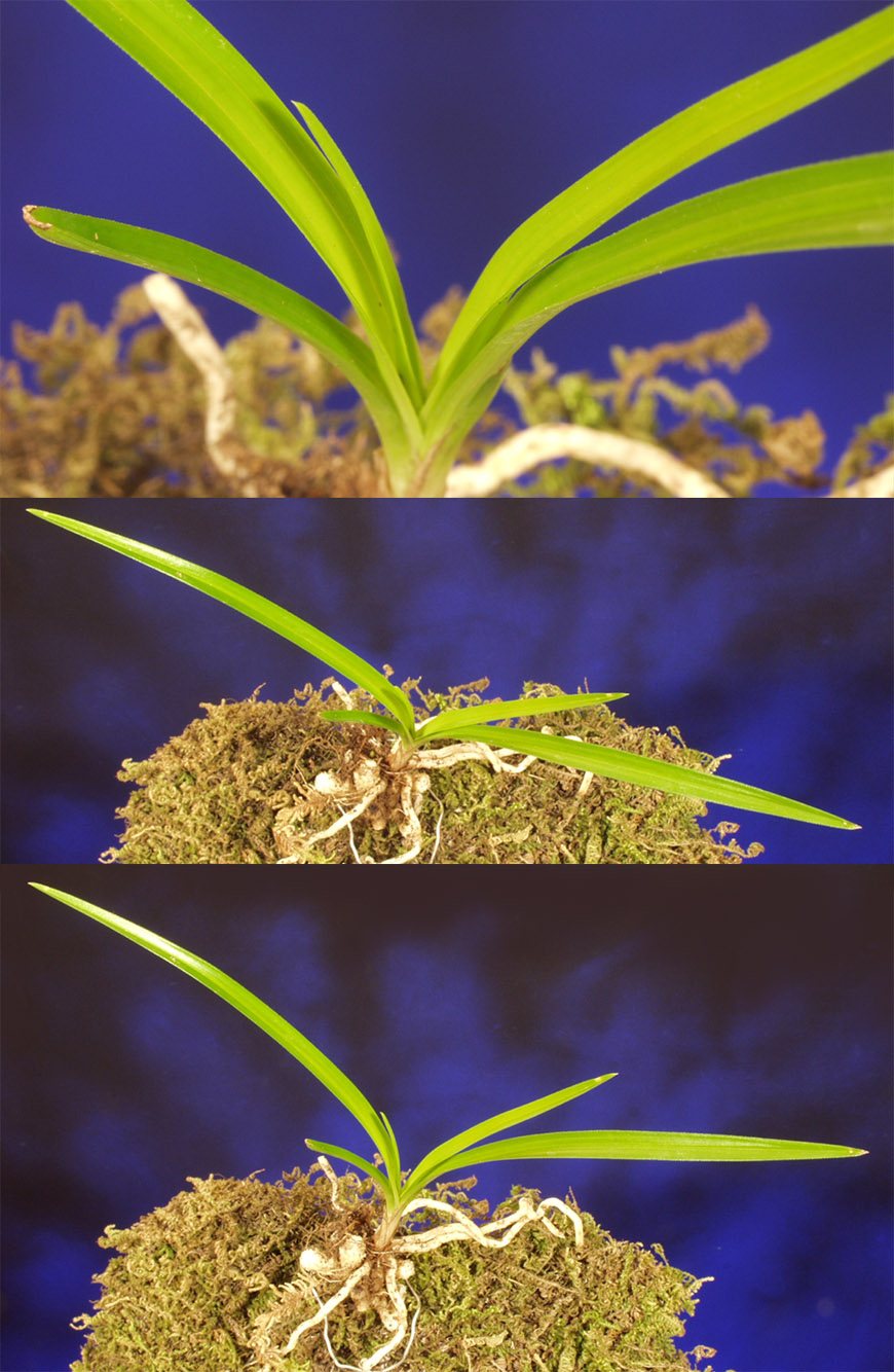 ������ ū������ �� �� �ֽ��ϴ�.