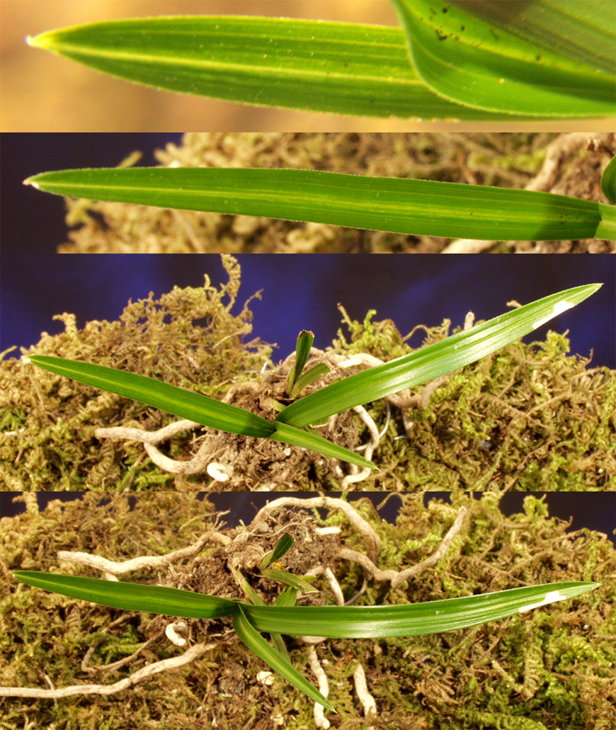 ������ ū������ �� �� �ֽ��ϴ�.