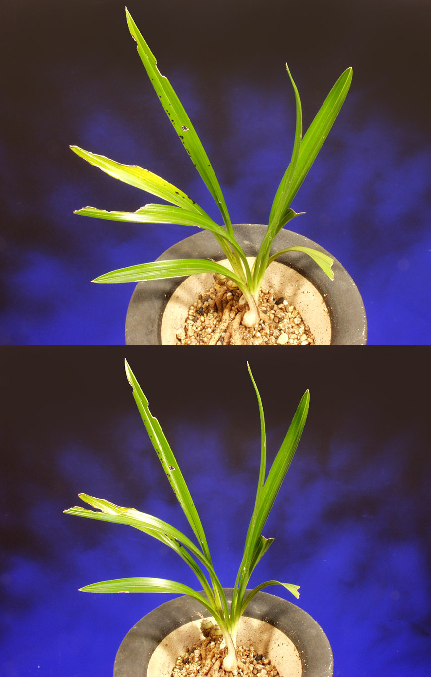 ������ ū������ �� �� �ֽ��ϴ�.