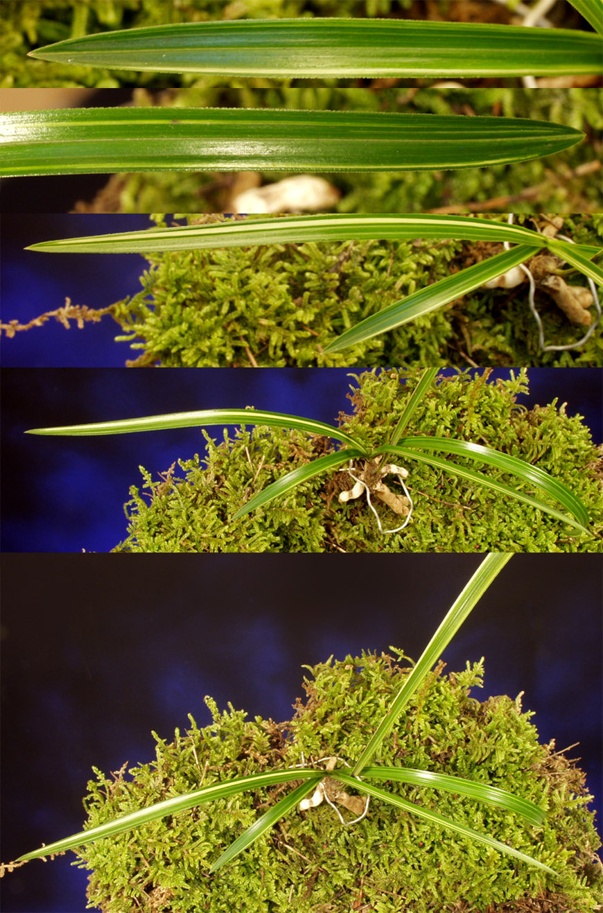 ������ ū������ �� �� �ֽ��ϴ�.