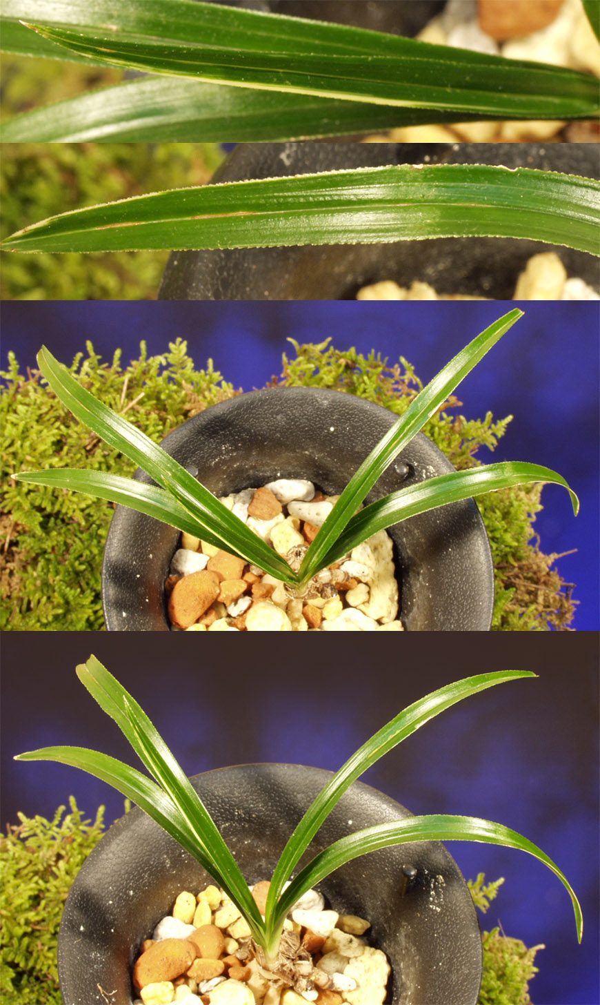 ������ ū������ �� �� �ֽ��ϴ�.