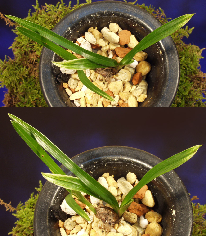 ������ ū������ �� �� �ֽ��ϴ�.