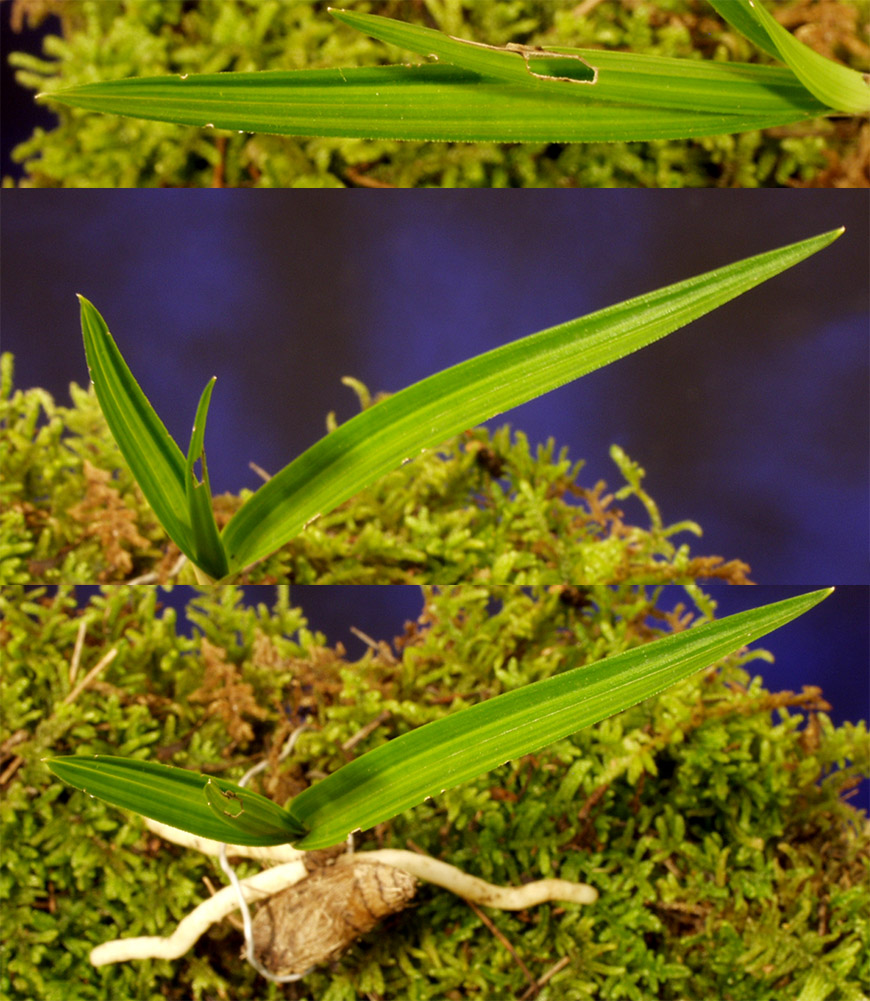 ������ ū������ �� �� �ֽ��ϴ�.