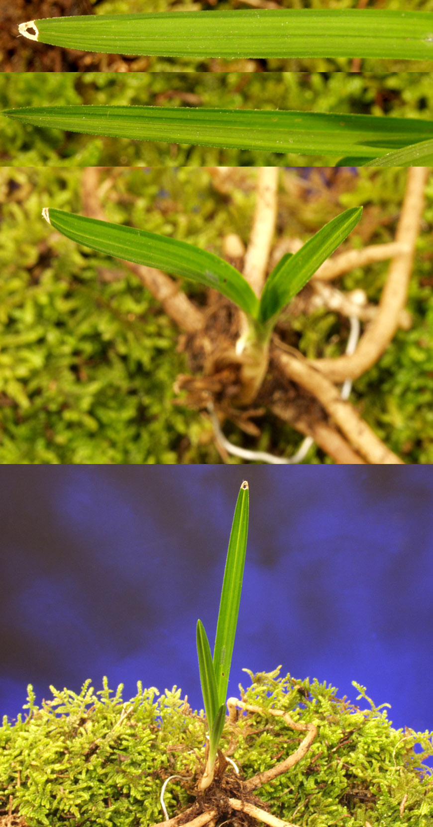 ������ ū������ �� �� �ֽ��ϴ�.