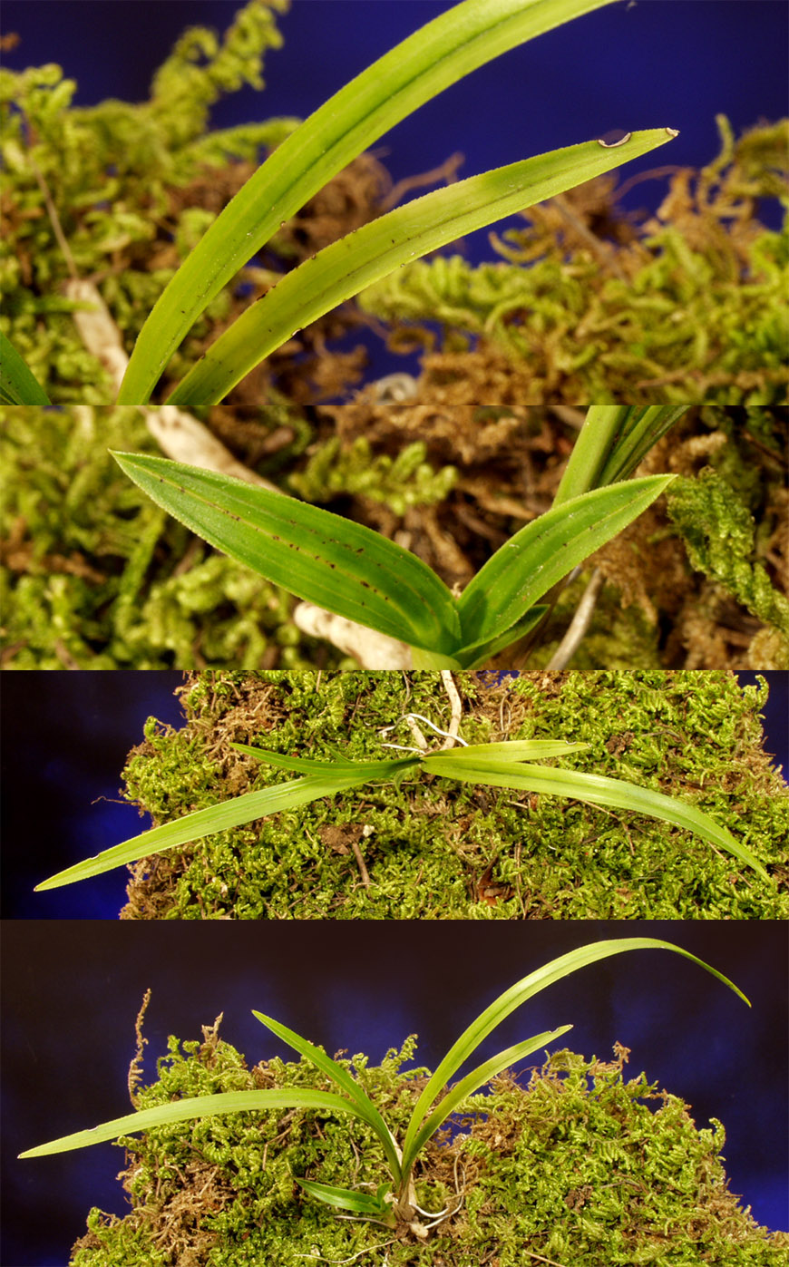 ������ ū������ �� �� �ֽ��ϴ�.