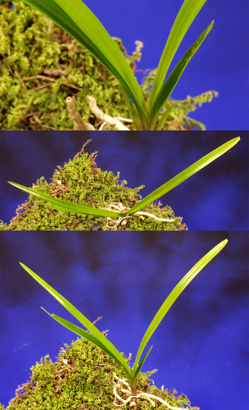 ������ ū������ �� �� �ֽ��ϴ�.