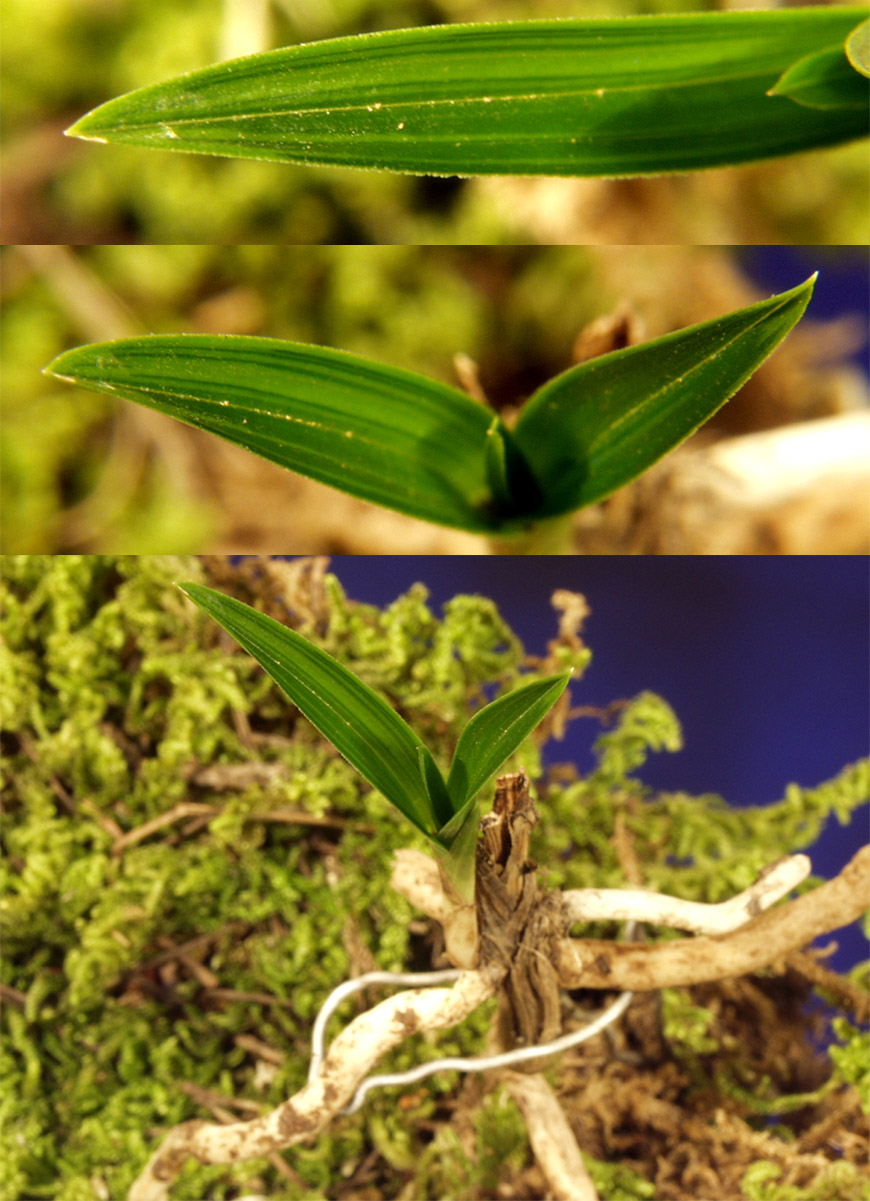 ������ ū������ �� �� �ֽ��ϴ�.