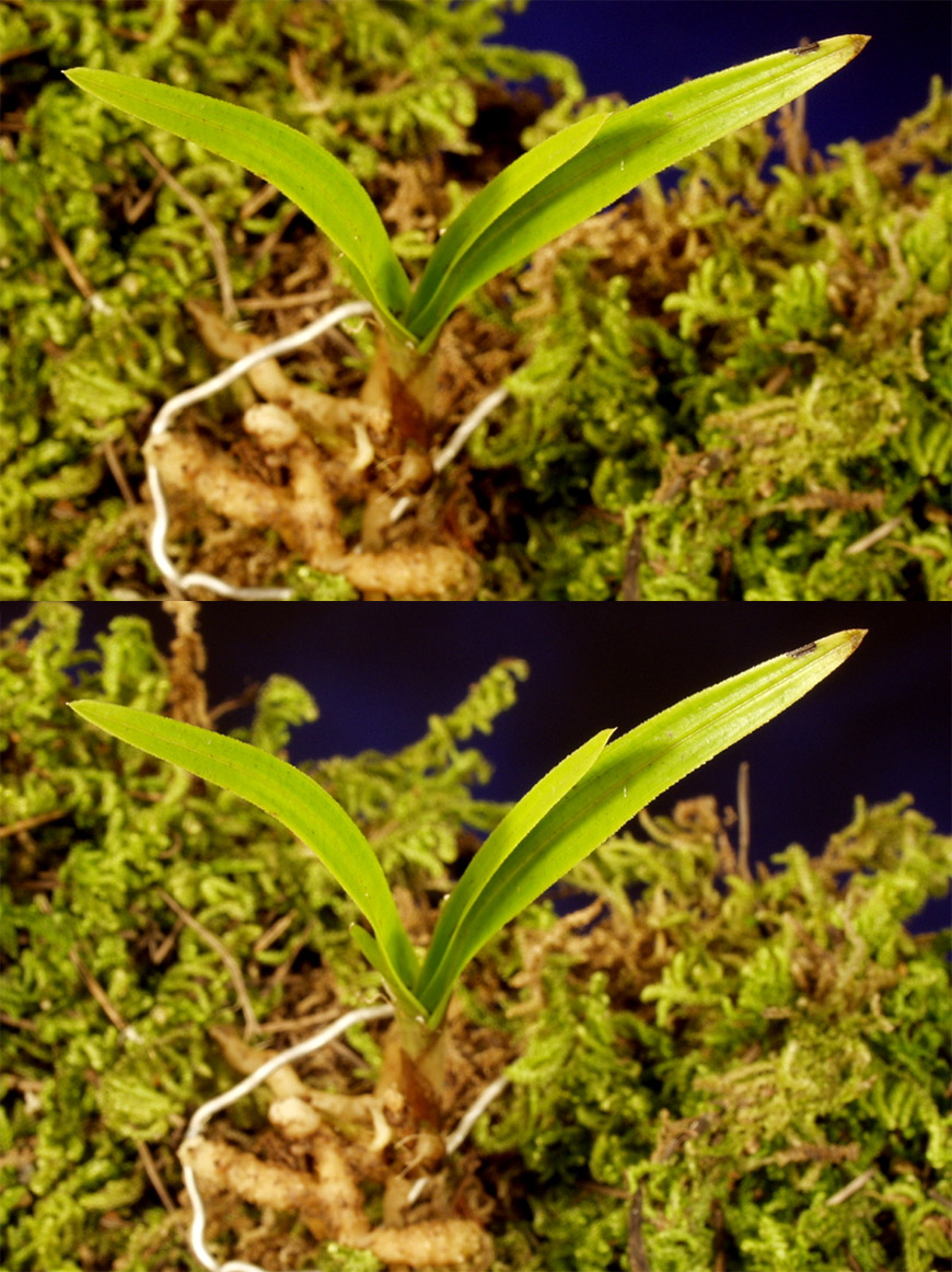 ������ ū������ �� �� �ֽ��ϴ�.