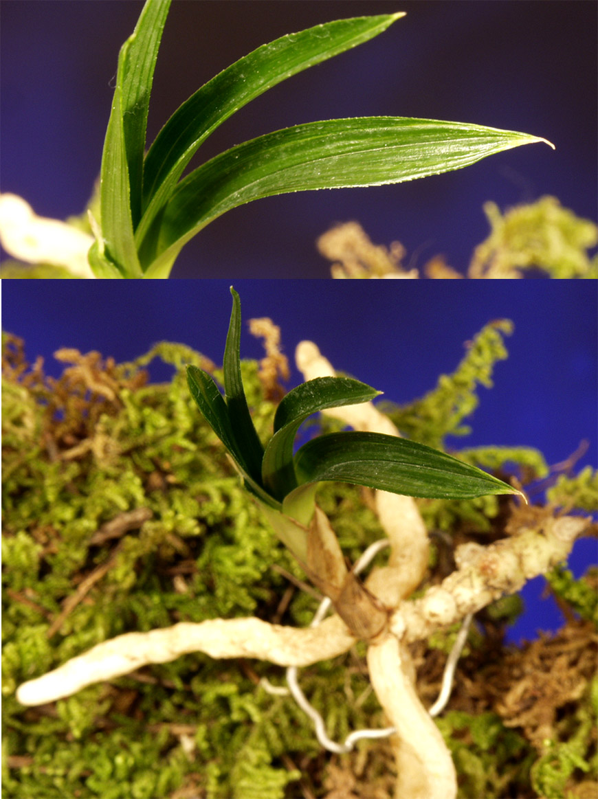 ������ ū������ �� �� �ֽ��ϴ�.