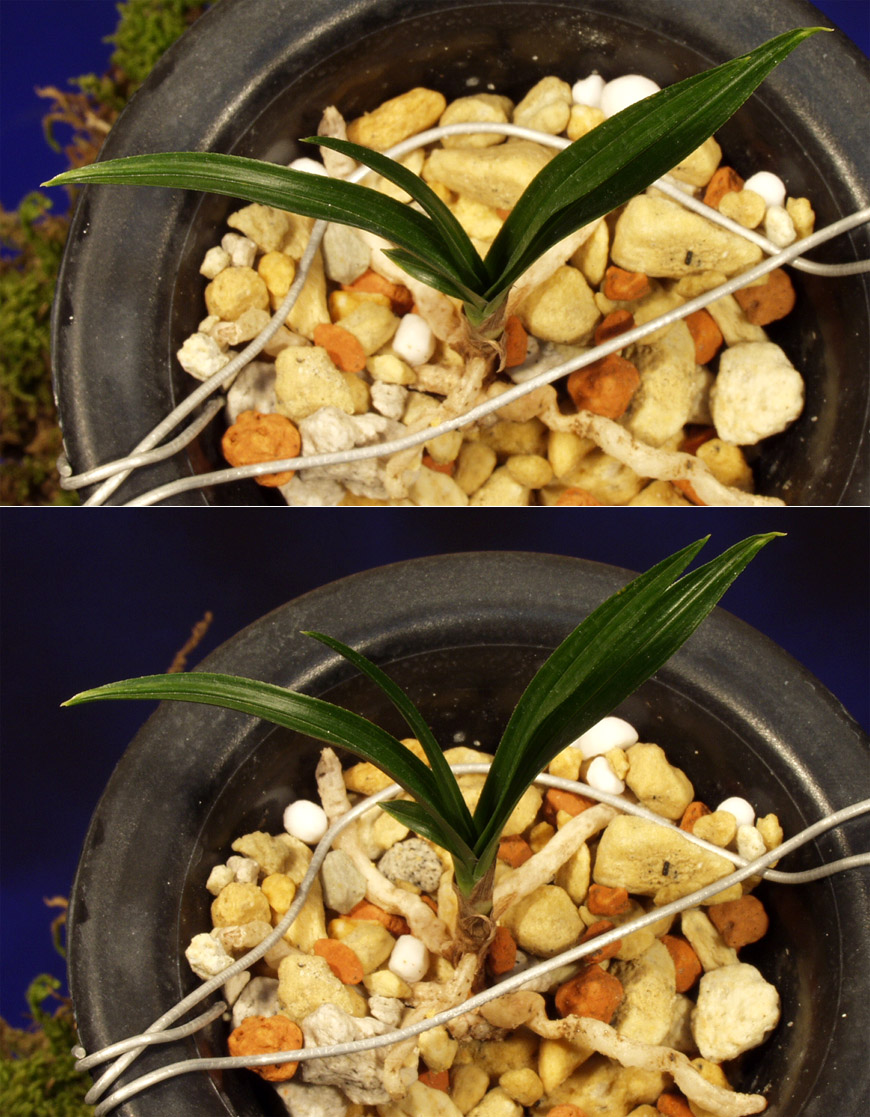 ������ ū������ �� �� �ֽ��ϴ�.