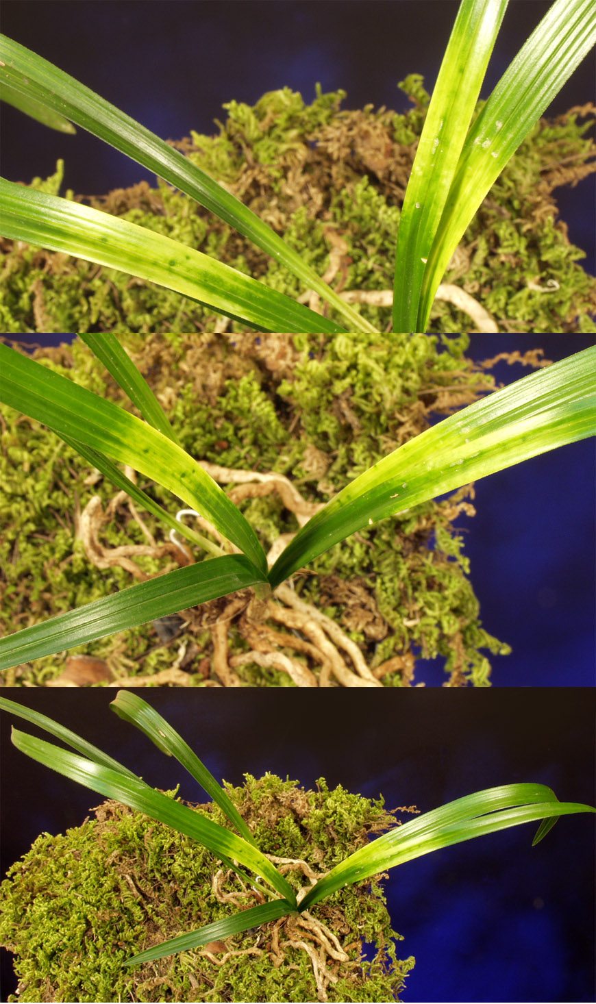 ������ ū������ �� �� �ֽ��ϴ�.