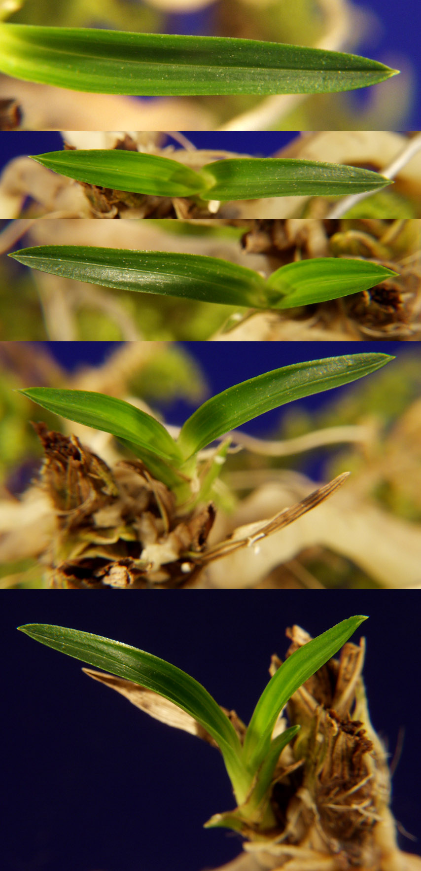 ������ ū������ �� �� �ֽ��ϴ�.