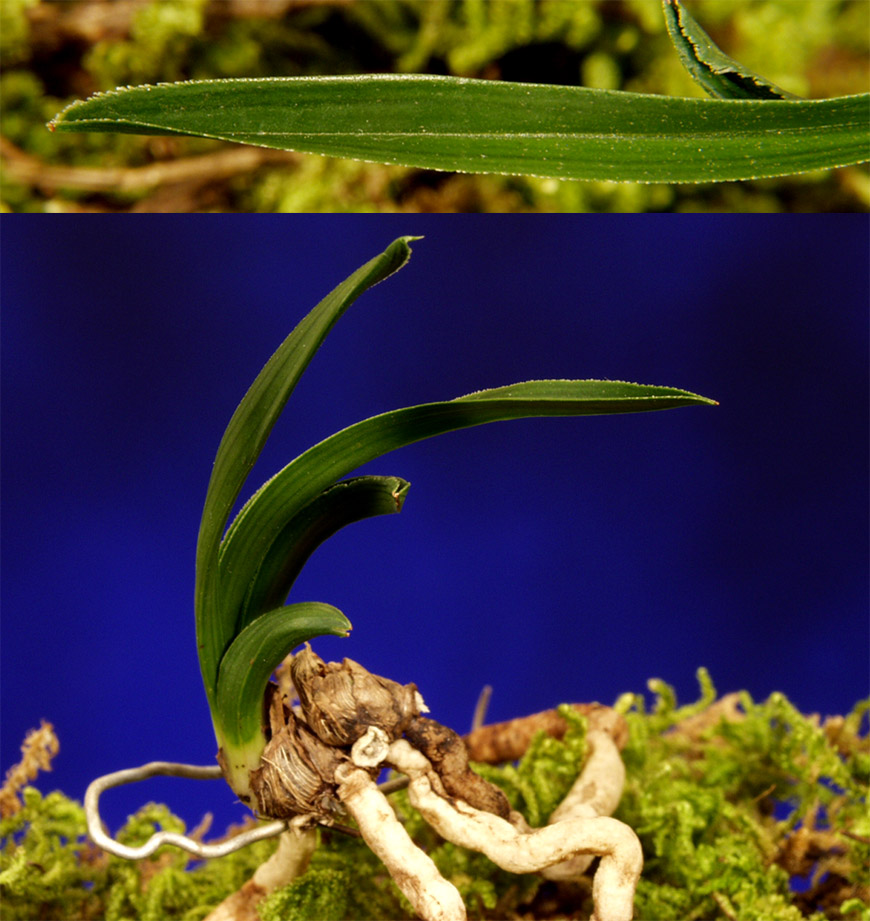 ������ ū������ �� �� �ֽ��ϴ�.