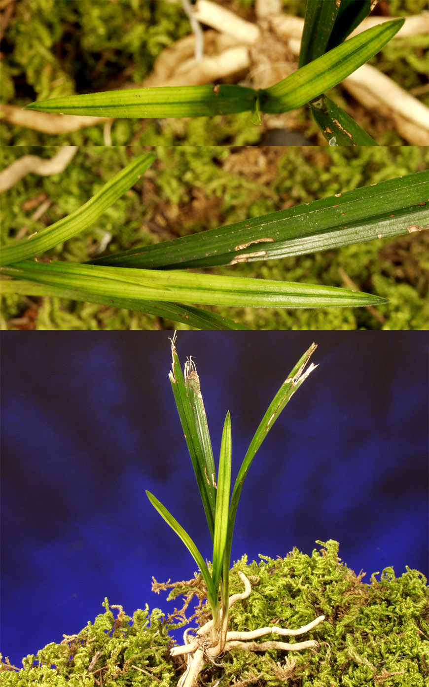 ������ ū������ �� �� �ֽ��ϴ�.