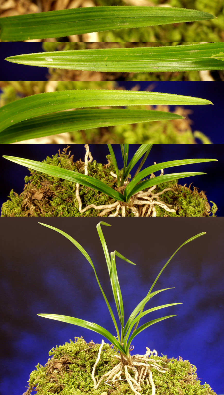 ������ ū������ �� �� �ֽ��ϴ�.