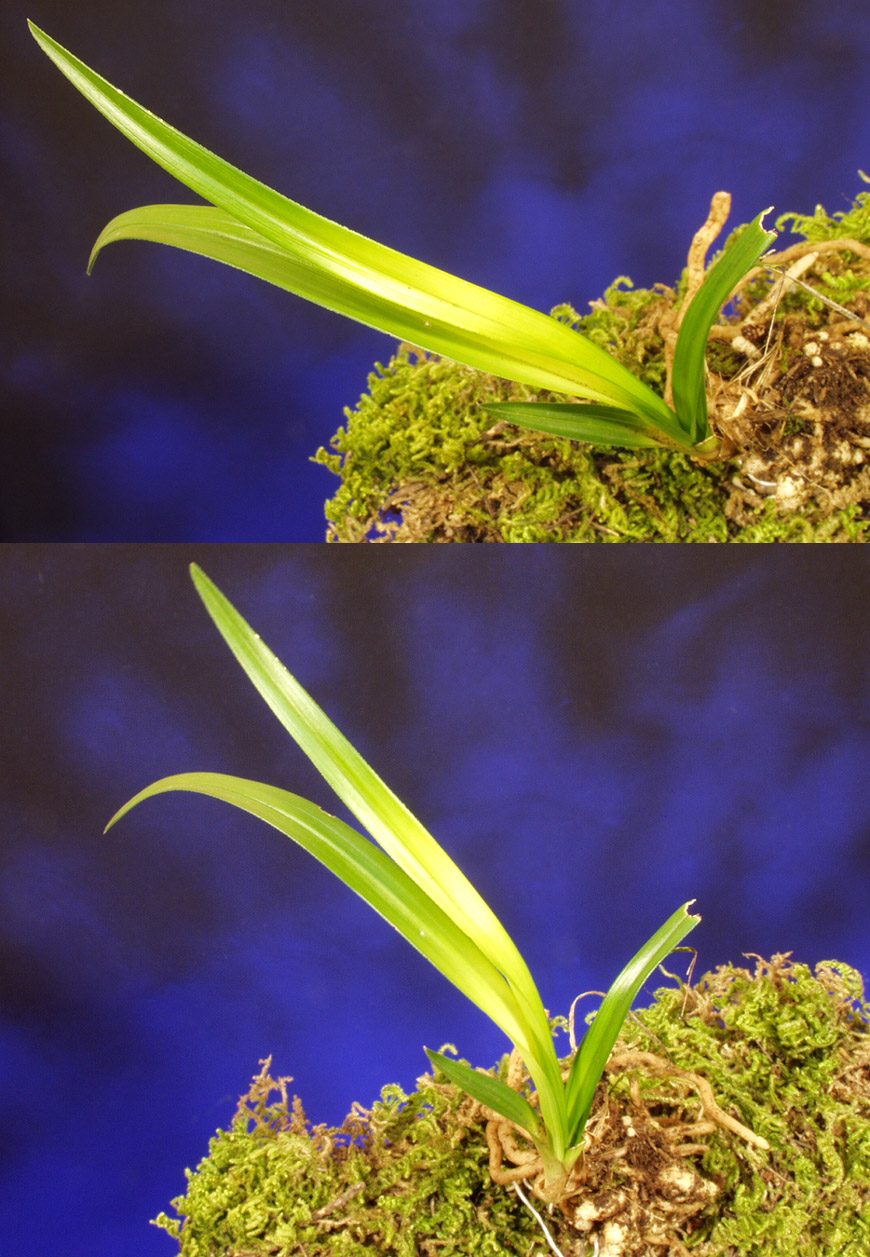 ������ ū������ �� �� �ֽ��ϴ�.