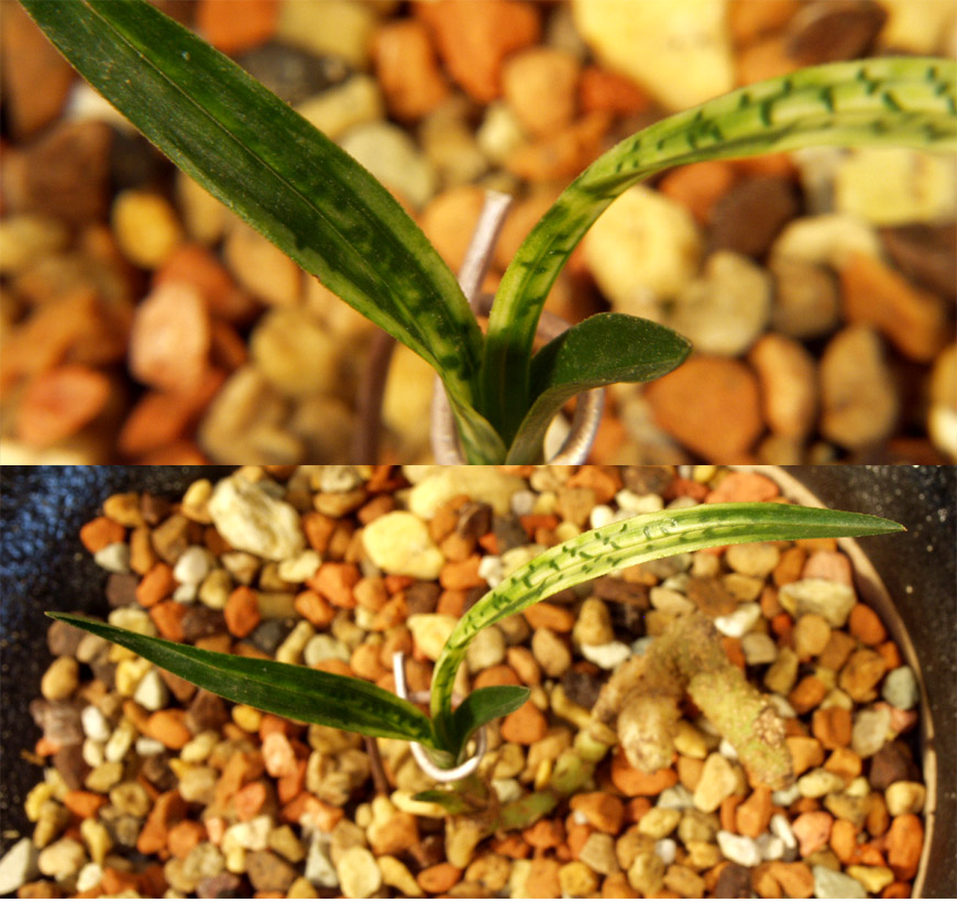 ������ ū������ �� �� �ֽ��ϴ�.