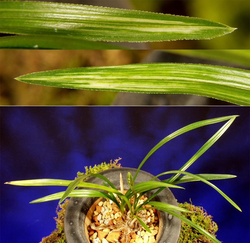 ������ ū������ �� �� �ֽ��ϴ�.