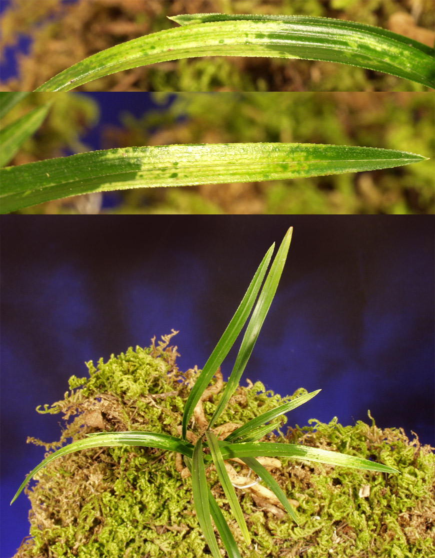 ������ ū������ �� �� �ֽ��ϴ�.