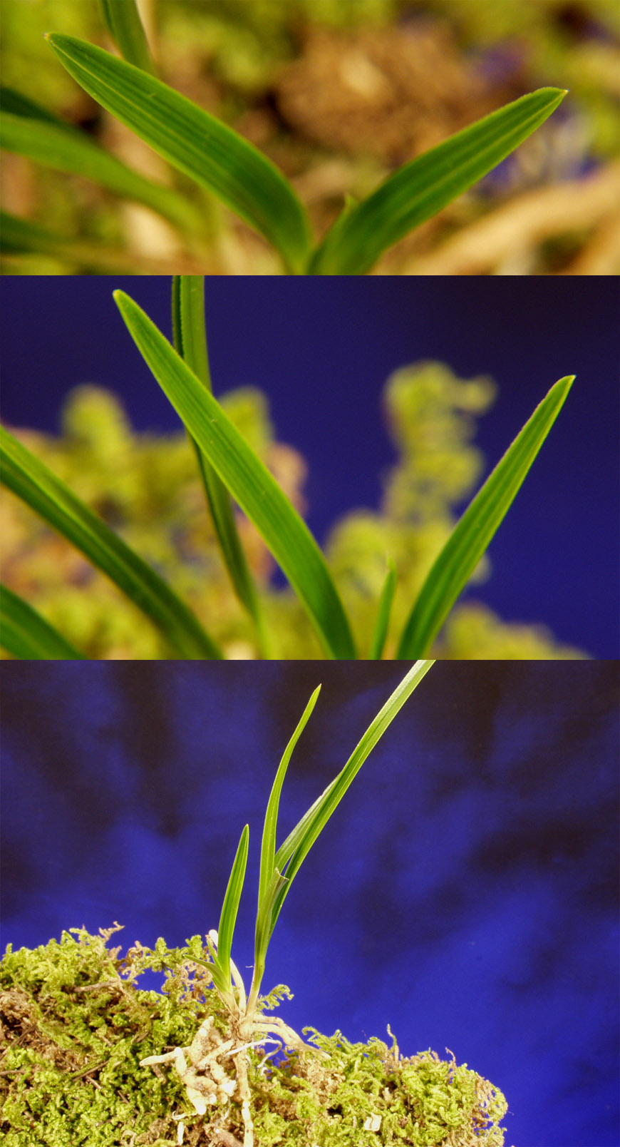 ������ ū������ �� �� �ֽ��ϴ�.