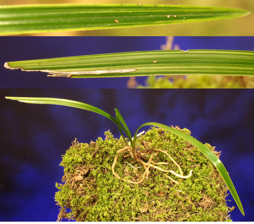 ������ ū������ �� �� �ֽ��ϴ�.