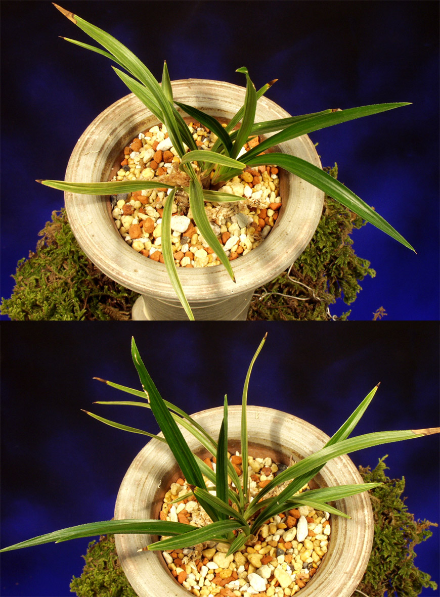 ������ ū������ �� �� �ֽ��ϴ�.