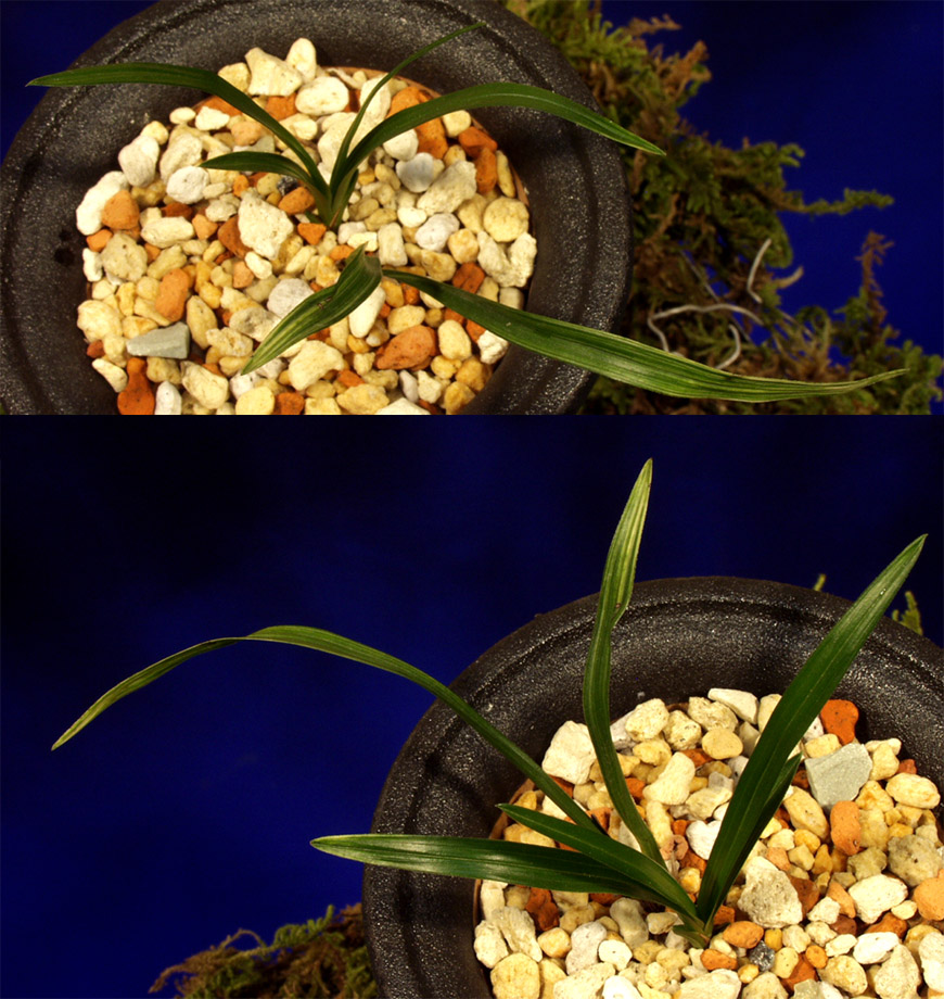 ������ ū������ �� �� �ֽ��ϴ�.