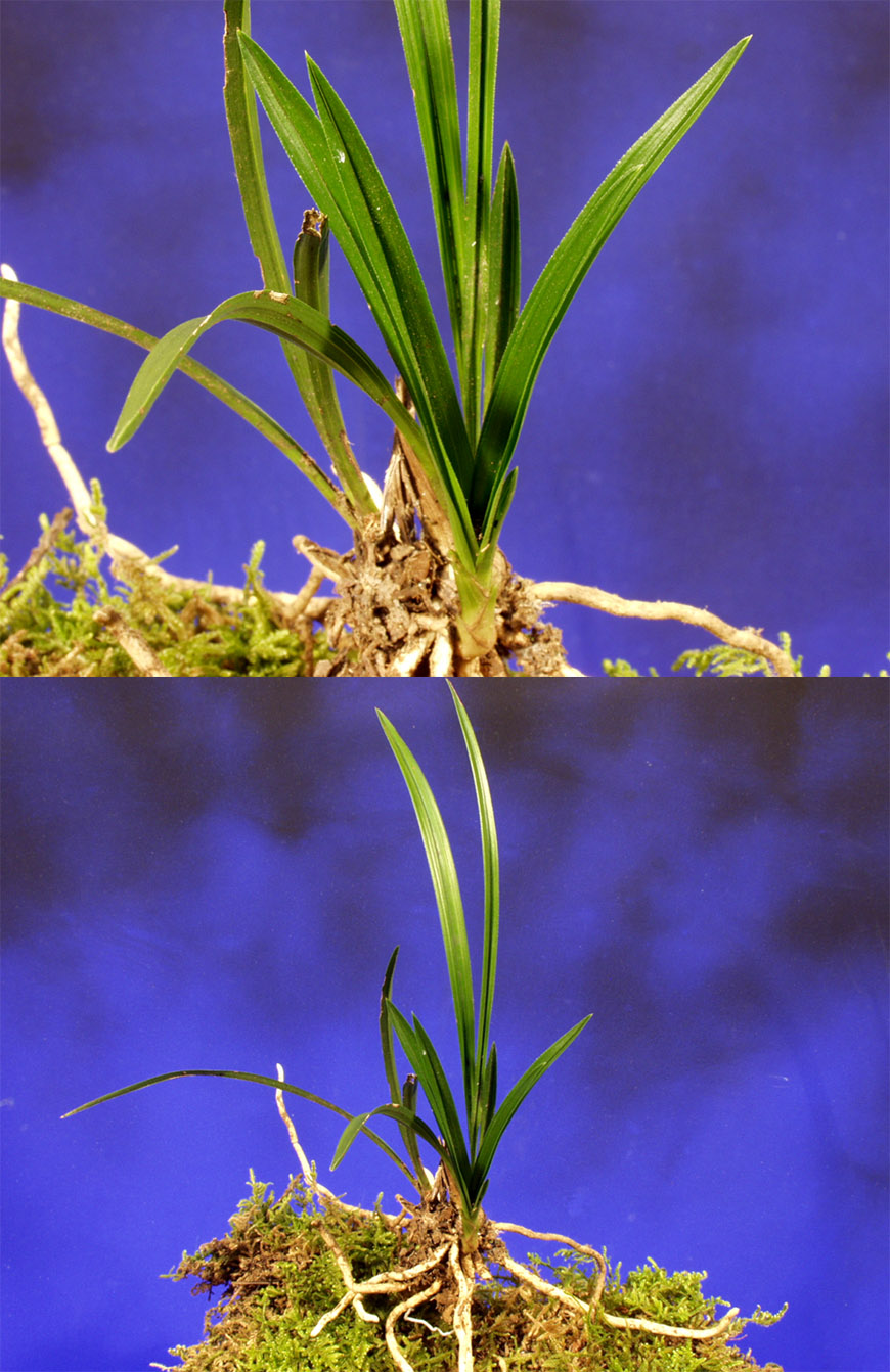 ������ ū������ �� �� �ֽ��ϴ�.