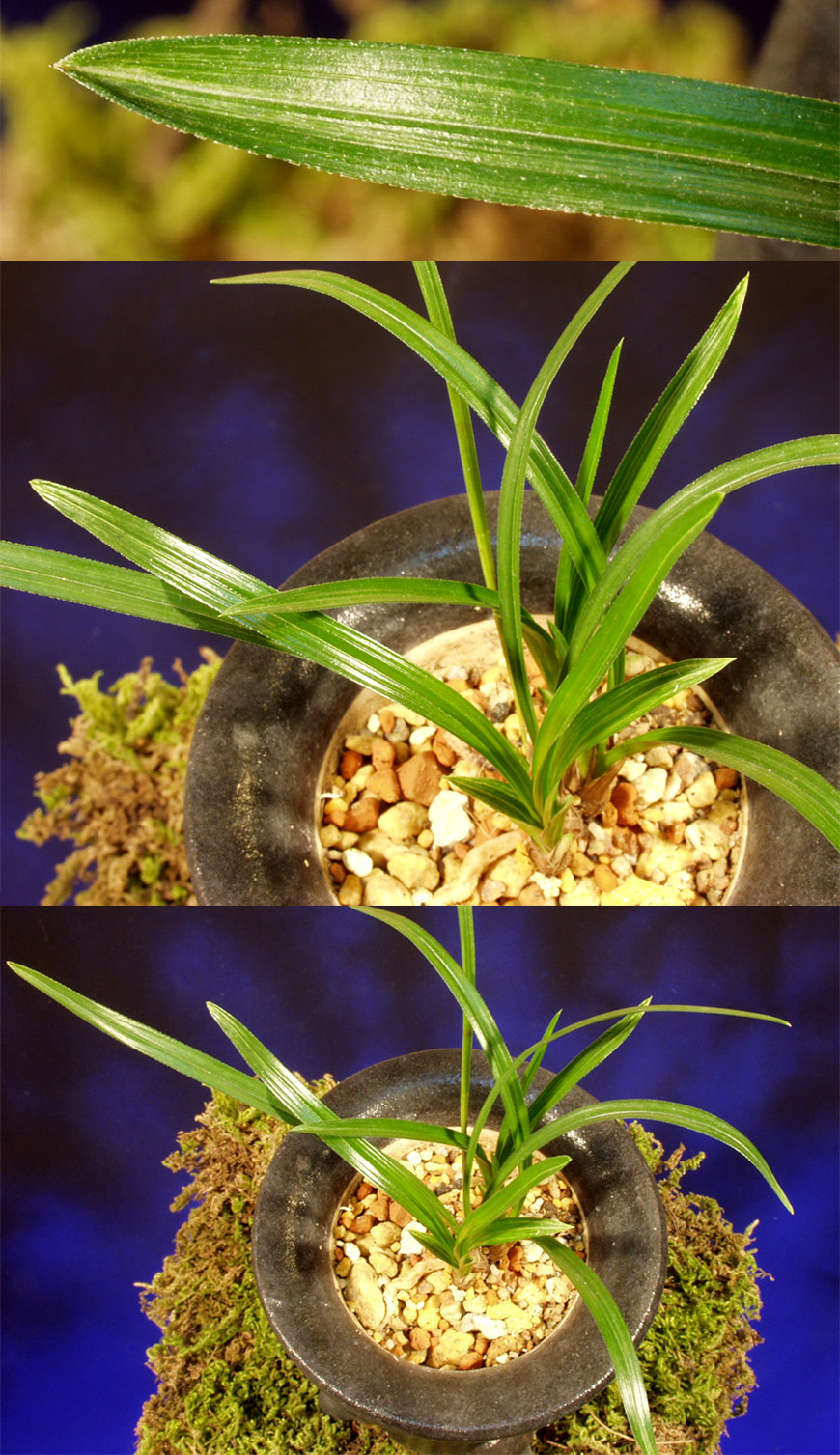 ������ ū������ �� �� �ֽ��ϴ�.