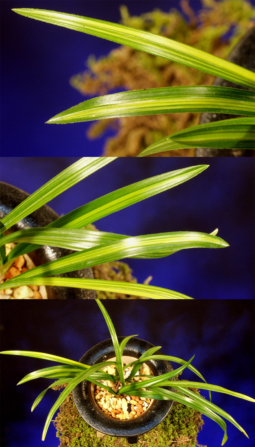 ������ ū������ �� �� �ֽ��ϴ�.