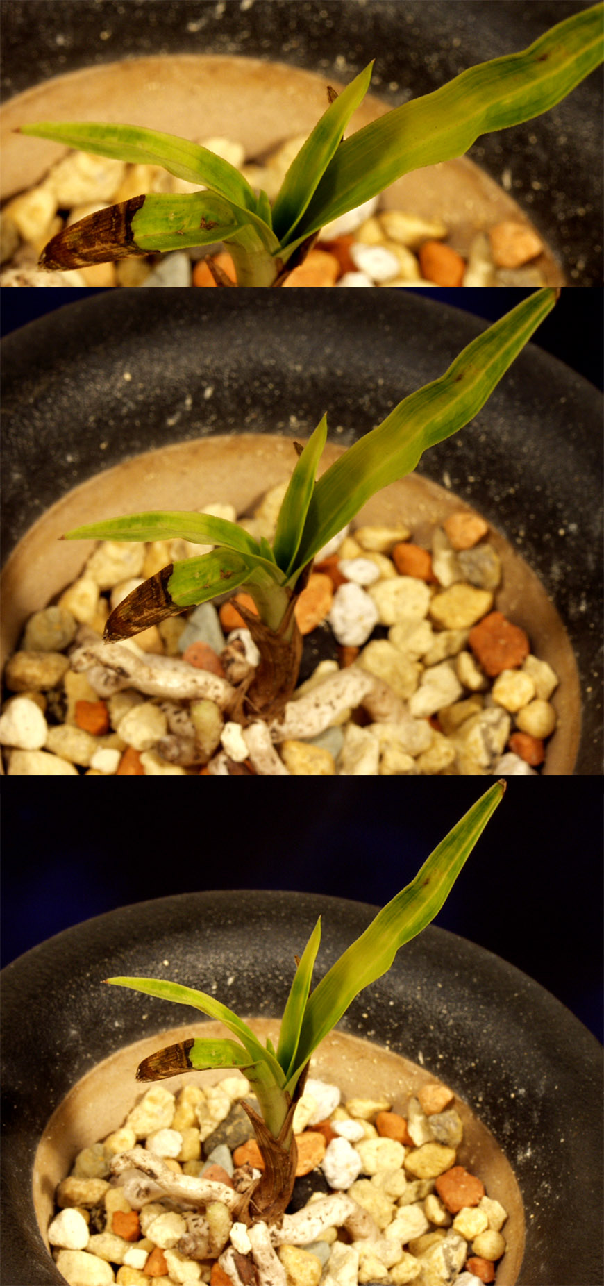 ������ ū������ �� �� �ֽ��ϴ�.