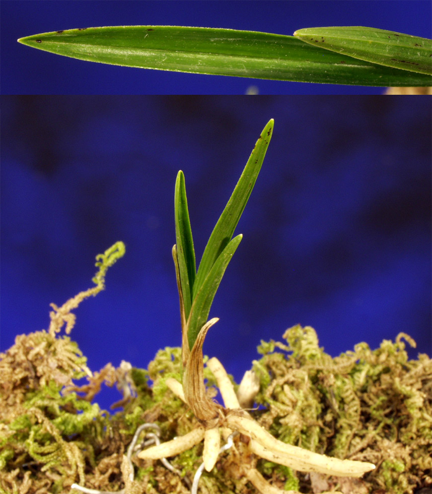 ������ ū������ �� �� �ֽ��ϴ�.