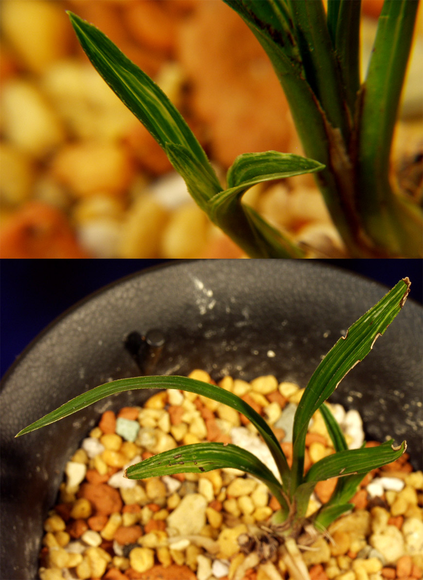 ������ ū������ �� �� �ֽ��ϴ�.