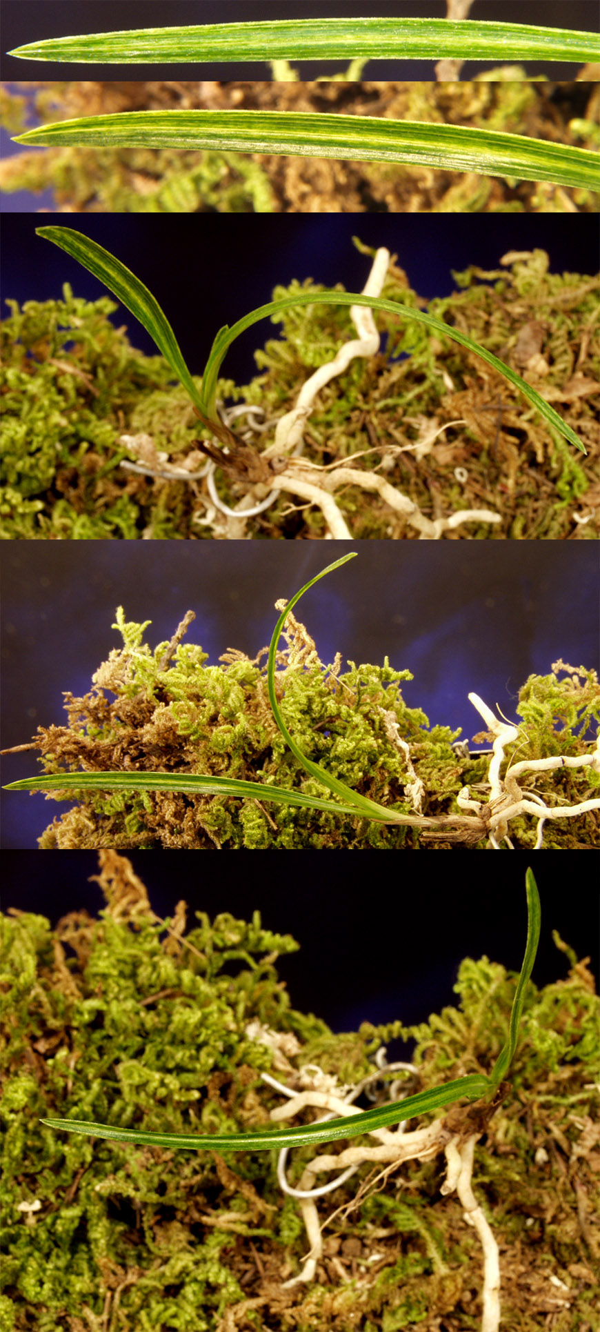 ������ ū������ �� �� �ֽ��ϴ�.