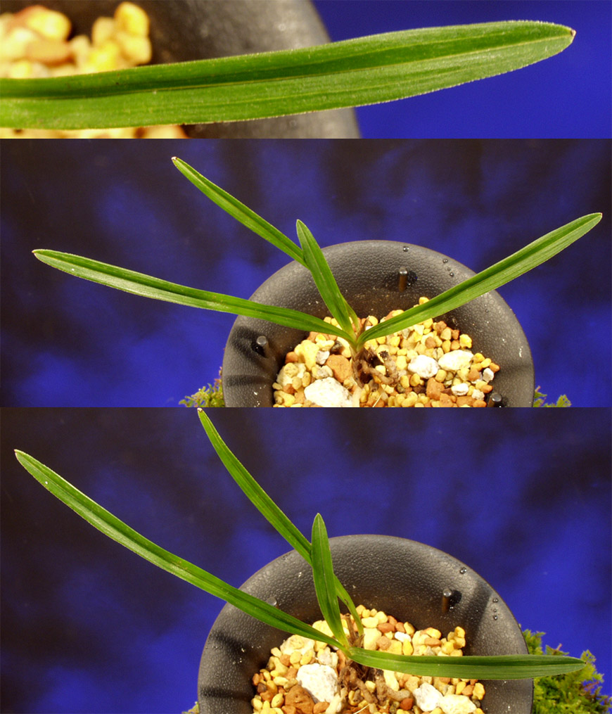 ������ ū������ �� �� �ֽ��ϴ�.