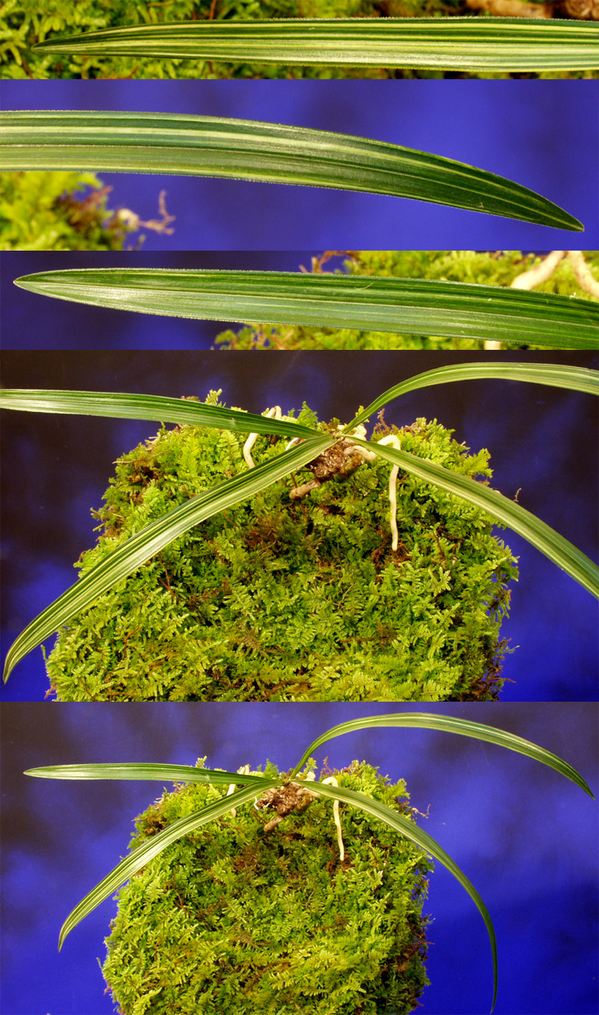 ������ ū������ �� �� �ֽ��ϴ�.