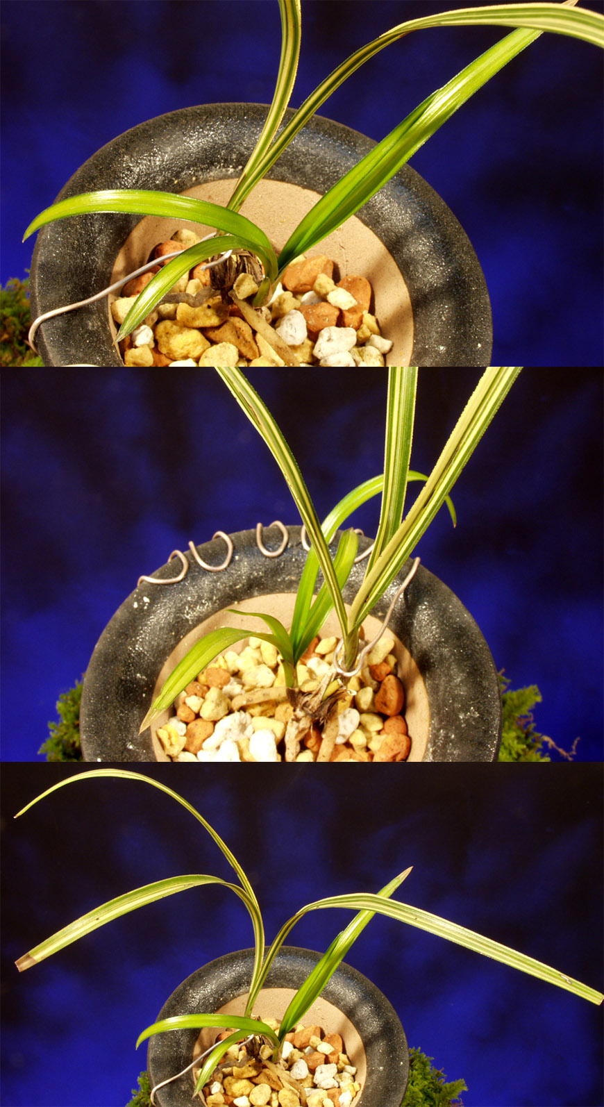 ������ ū������ �� �� �ֽ��ϴ�.