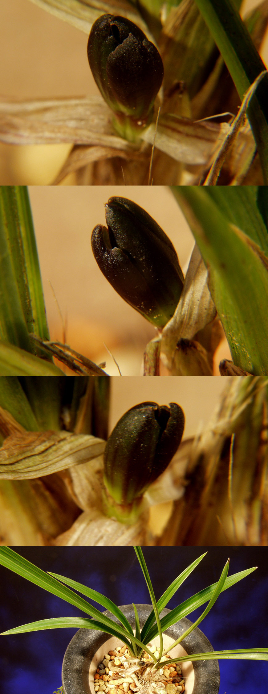 ������ ū������ �� �� �ֽ��ϴ�.