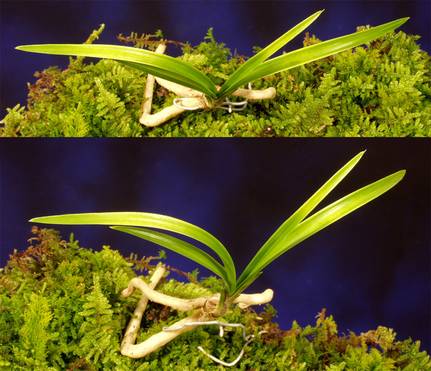 ������ ū������ �� �� �ֽ��ϴ�.