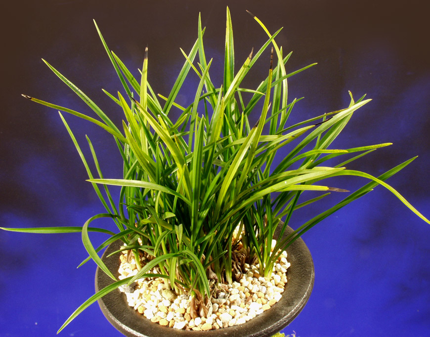 ������ ū������ �� �� �ֽ��ϴ�.