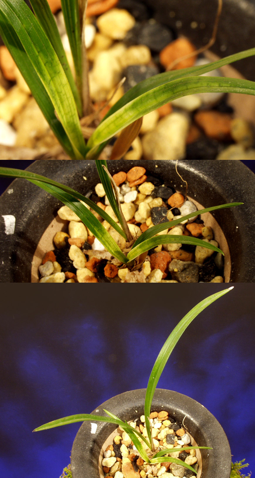 ������ ū������ �� �� �ֽ��ϴ�.