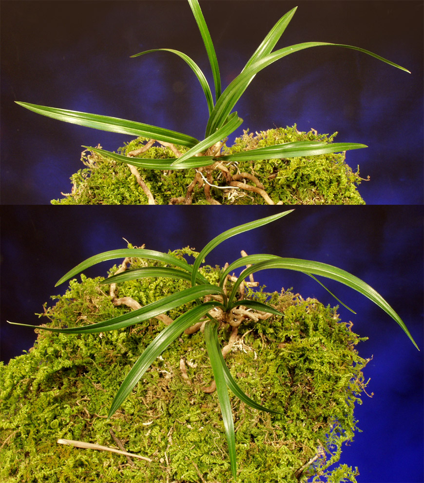 ������ ū������ �� �� �ֽ��ϴ�.