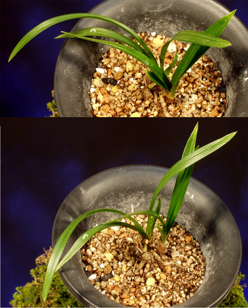 ������ ū������ �� �� �ֽ��ϴ�.