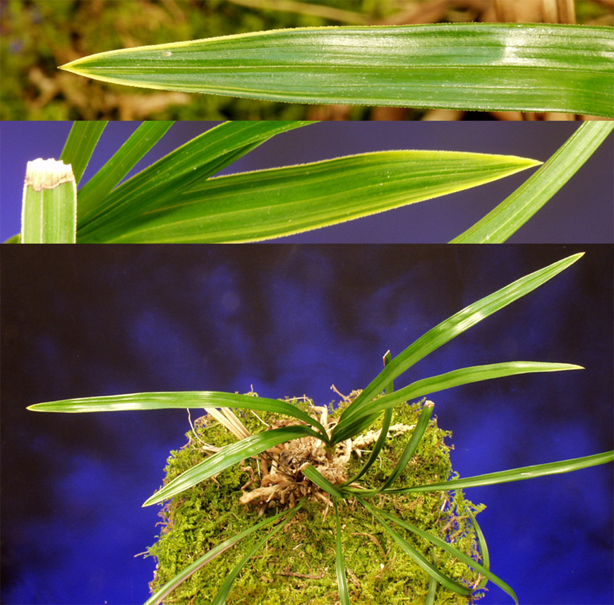 ������ ū������ �� �� �ֽ��ϴ�.