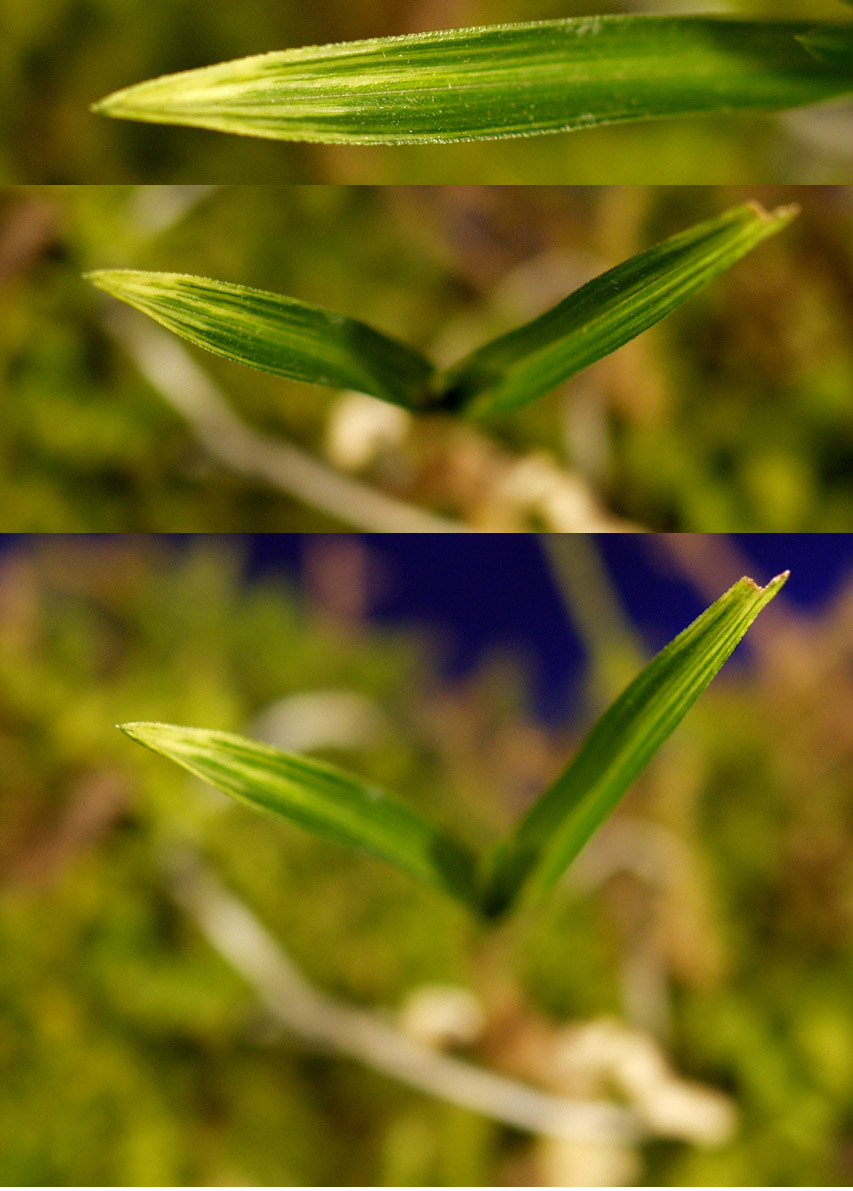 ������ ū������ �� �� �ֽ��ϴ�.