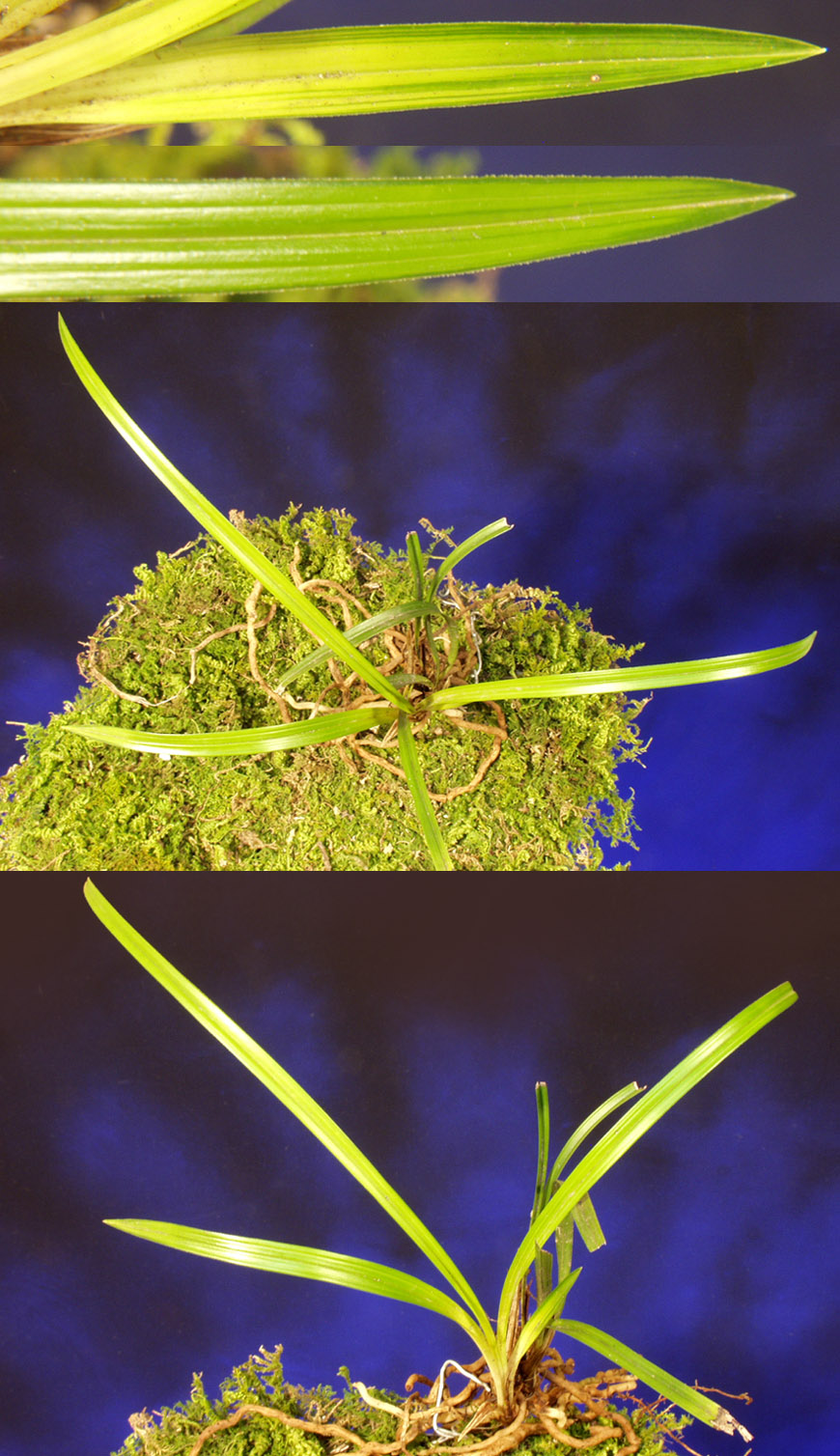 ������ ū������ �� �� �ֽ��ϴ�.