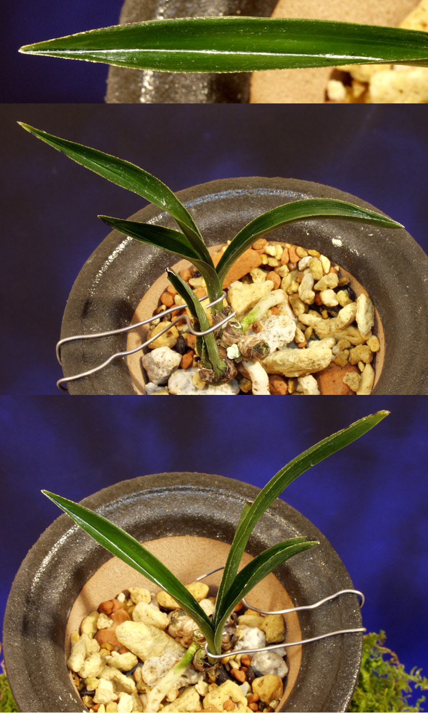 ������ ū������ �� �� �ֽ��ϴ�.