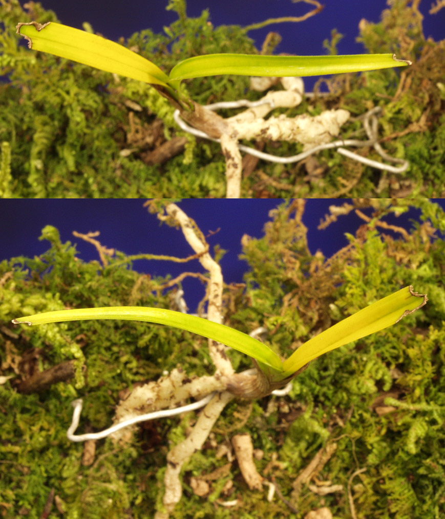 ������ ū������ �� �� �ֽ��ϴ�.